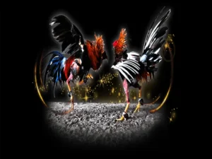 Bí Kíp Cách Chơi Đá Gà Sabong Tại Tinycat99 Mang Về Lợi Nhuận Khủng Cho Kê Thủ