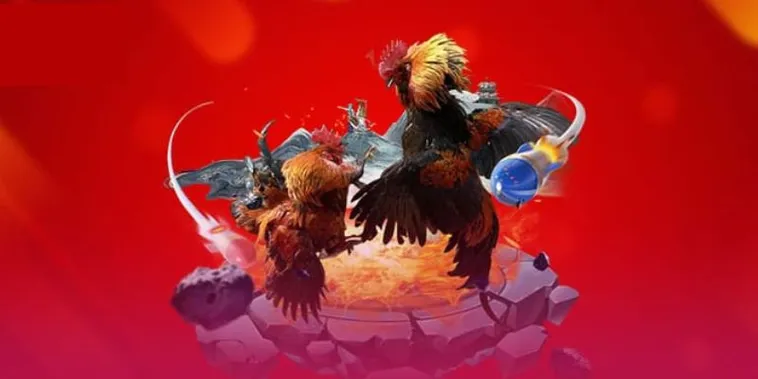 Trải Nghiệm Đá Gà Tinycat99 Đỉnh Cao Trực Tiếp Thomo Campuchia Mới Nhất