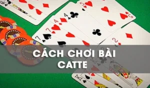 Áp Dụng Cách Chơi Sắc Tê Nhà Cái Tinycat99 Ăn Tiền Thật